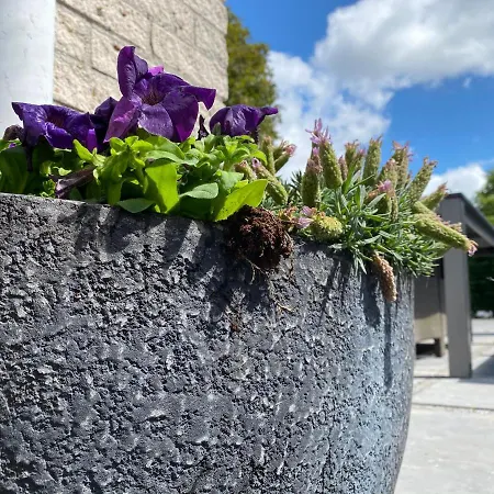 Vakantiebungalow Mee Aan Zee Holiday home *