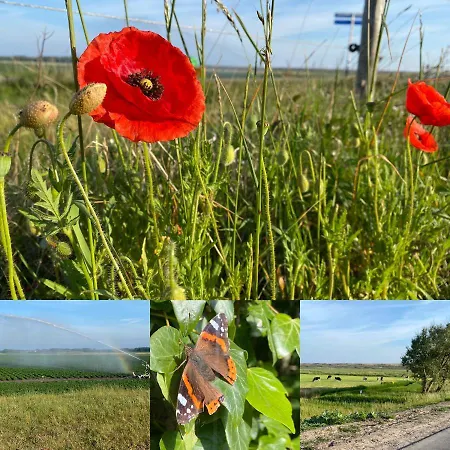 Nyaraló Vakantiebungalow Mee Aan Zee