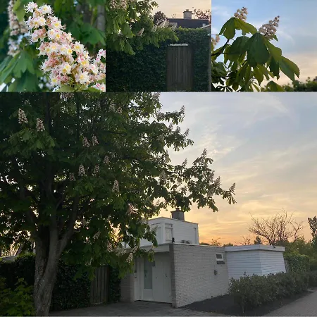 Vakantiebungalow Mee Aan Zee אאודורפ