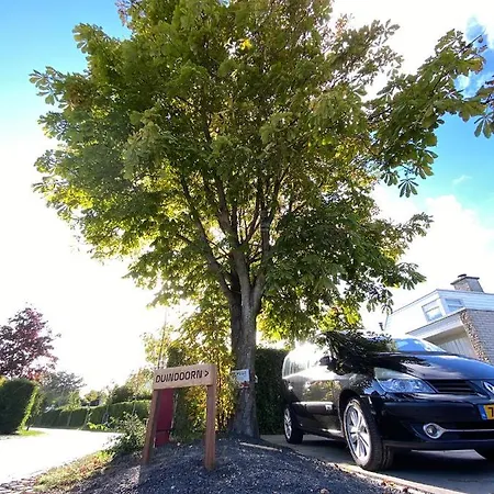 Dom wakacyjny Vakantiebungalow Mee Aan Zee
