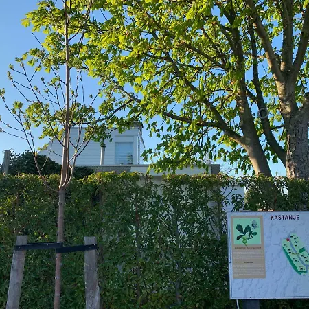 Vakantiebungalow Mee Aan Zee * Ouddorp