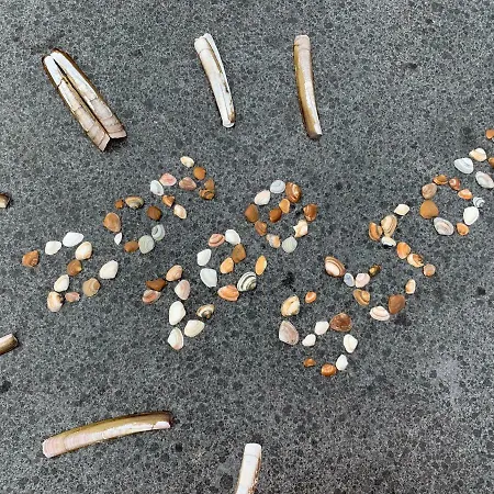 Dom wakacyjny Vakantiebungalow Mee Aan Zee *