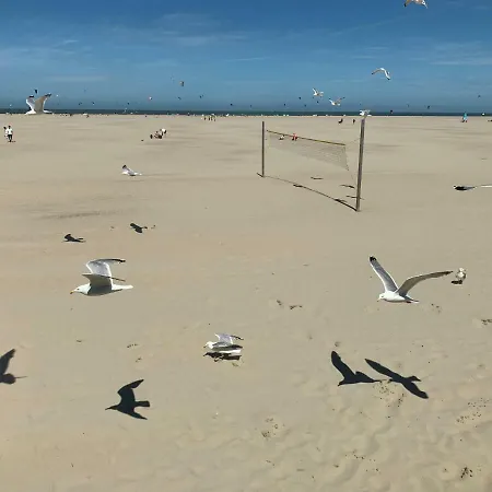 Dom wakacyjny Vakantiebungalow Mee Aan Zee