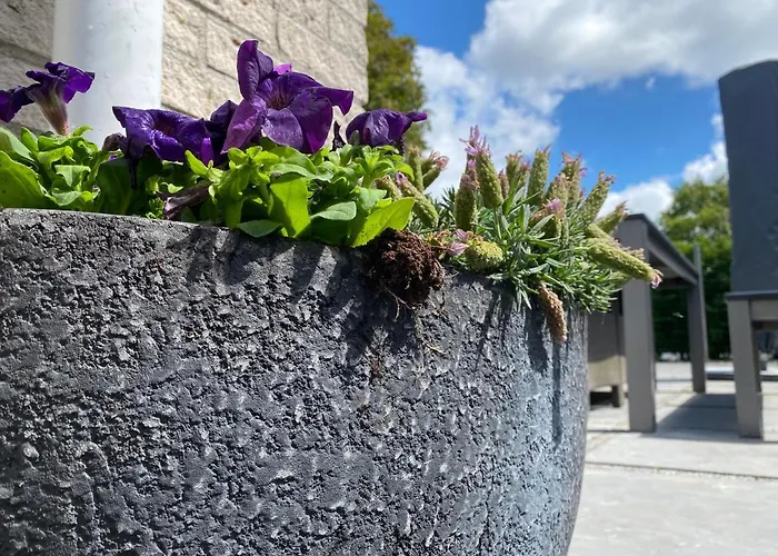 Vakantiebungalow Mee Aan Zee בית נופש *