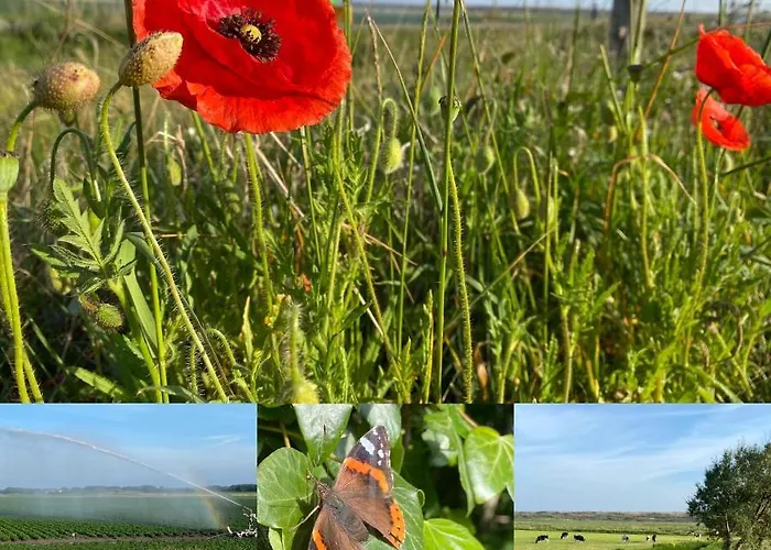 בית נופש Vakantiebungalow Mee Aan Zee