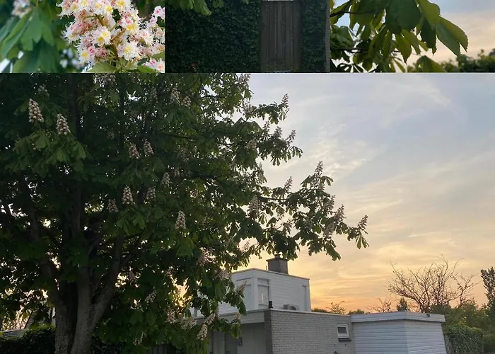 Vakantiebungalow Mee Aan Zee אאודורפ