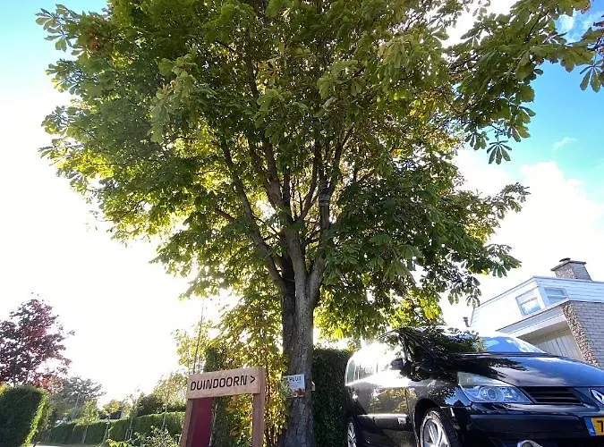 Nyaraló Vakantiebungalow Mee Aan Zee