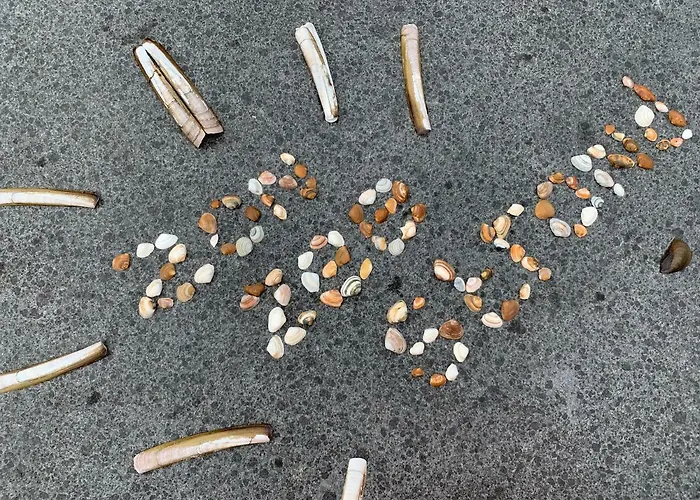 Nyaraló Vakantiebungalow Mee Aan Zee *