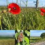 Hébergement de vacances Vakantiebungalow Mee Aan Zee