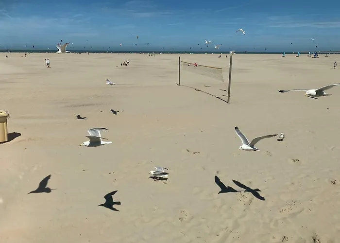 Casa vacanze Vakantiebungalow Mee Aan Zee